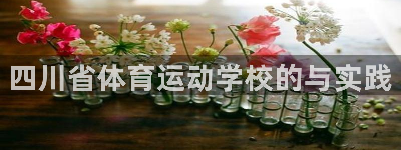 欧亿体育官方正版app集团logo：四川省体育运动学