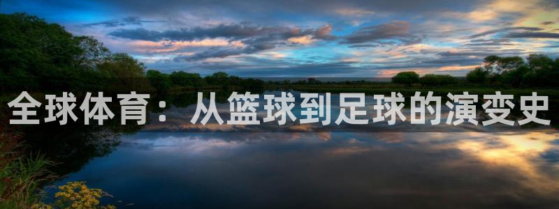 欧亿体育官方正版app集团：全球体育：从篮球到足球的