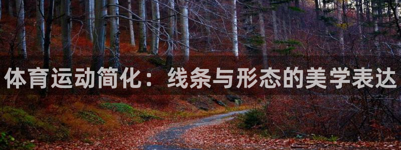 oety欧亿体育官网下载招商：体育运动简化：线条与形