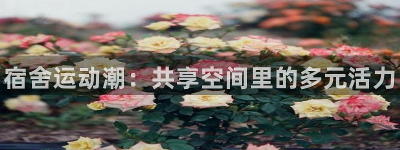 oety欧亿体育官网下载平台APP：宿舍运动潮：共享