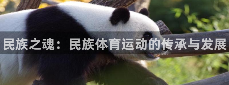 oety欧亿体育官网下载：民族之魂：民族体育运动的传