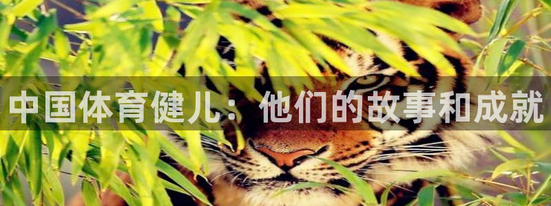 oety欧亿体育官网下载招商电话地址是多少：中国体育
