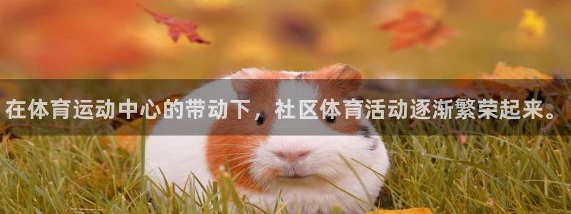 oety欧亿体育官网下载招商电话号码：在体育运动中心
