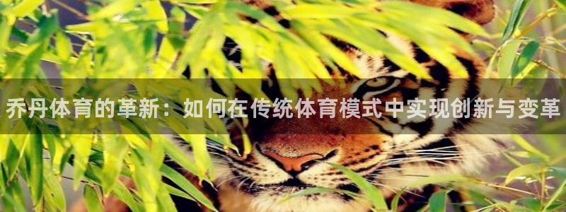 欧亿体育官方正版app集团：乔丹体育的革新：如何在传