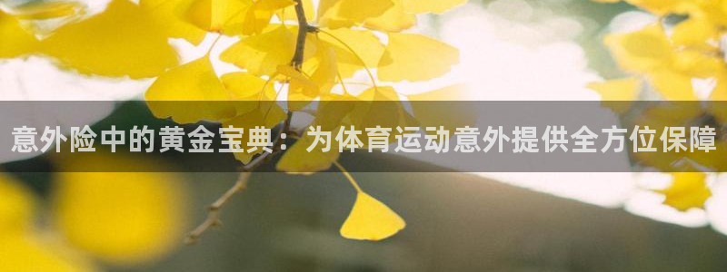 欧亿体育官方正版app集团E.ON：意外险中的黄金宝典：为体