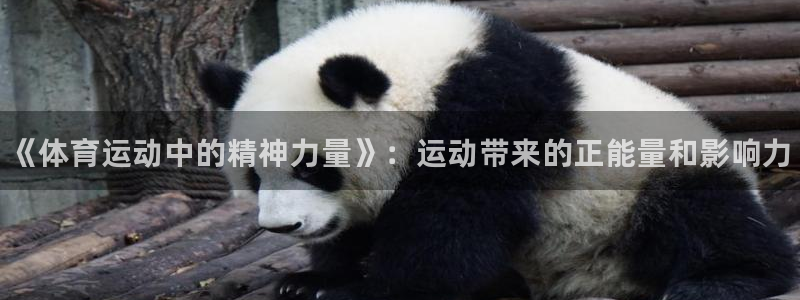 欧亿体育官方正版app娱乐下载：《体育运动中的精神力量》：运