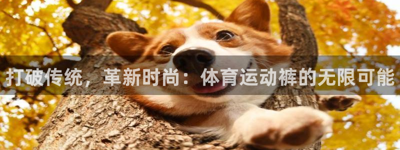 欧亿体育官方正版app官网：打破传统，革新时尚：体育运动裤的
