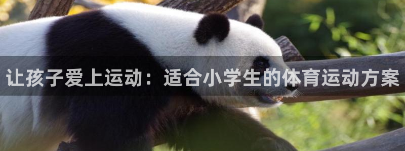 欧亿体育官方正版app娱乐首页网站大全：让孩子爱上运
