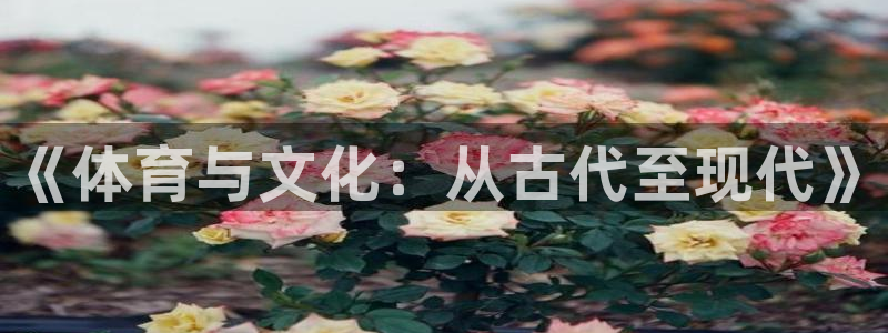 oety欧亿体育官网下载