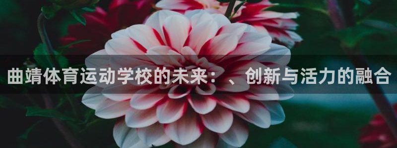 oety欧亿体育官网下载招商电话号码是多少：曲靖体育