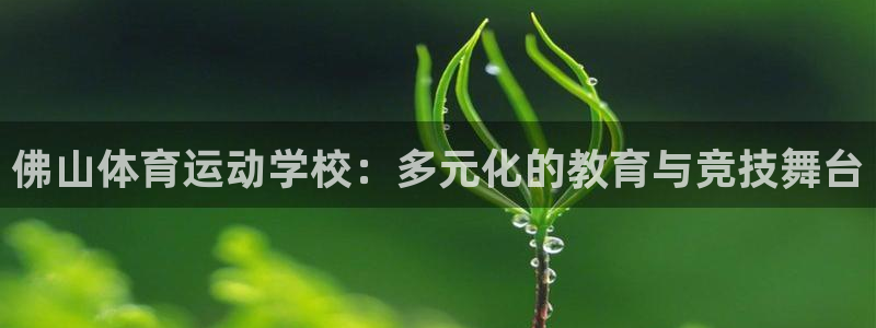 欧亿平台网址：佛山体育运动学校：多元