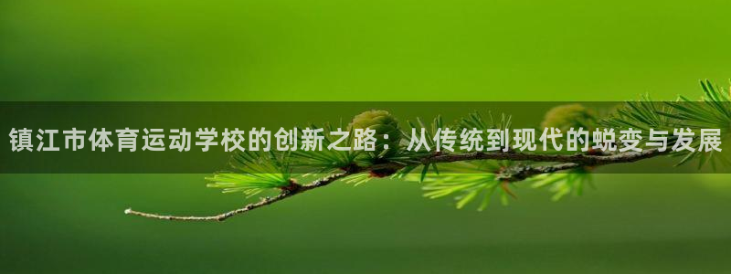 oety欧亿体育官网下载软件:镇江市体育运动学校的创新之路: